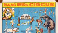Haag Bros. Circus廣告海報(日期不詳)，印在29 * 44英寸的厚帆布上，色彩鮮豔(估價:1000 - 4000美元)。
